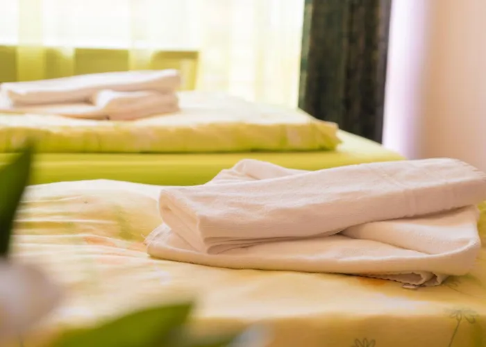 Gorna Banya Hotel 3*