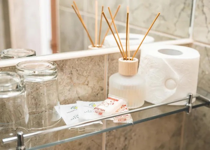 ホテル Gorna Banya 3*